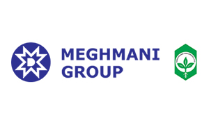 meghmani Dyes Intermediates